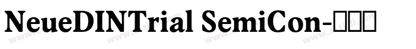 NeueDINTrial SemiCon字体转换